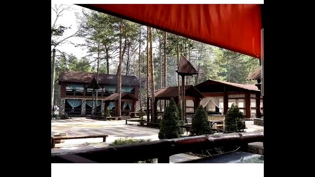 Заельцовский парк смотреть онлайн