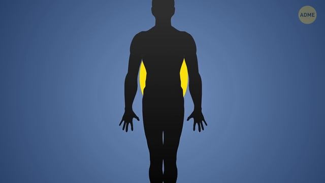 Не бывает двух одинаковых отпечатков пальцев — ни у близнецов, ни на ваших собственных руках! смотреть онлайн