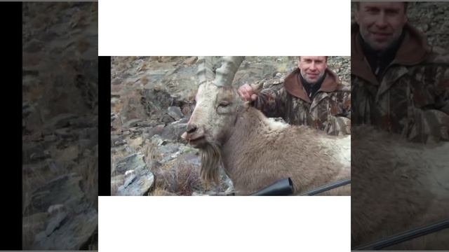 Красная книга Казахстана смотреть онлайн