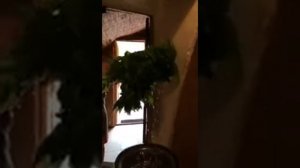 Крапива в бане