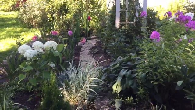 ВНИМАНИЕ ! Канал меняет название! В гостях у Ольги. смотреть онлайн