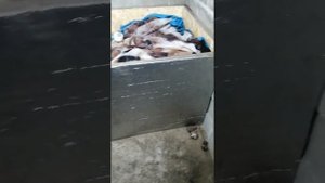 полузаглубленный погреб часть 3
