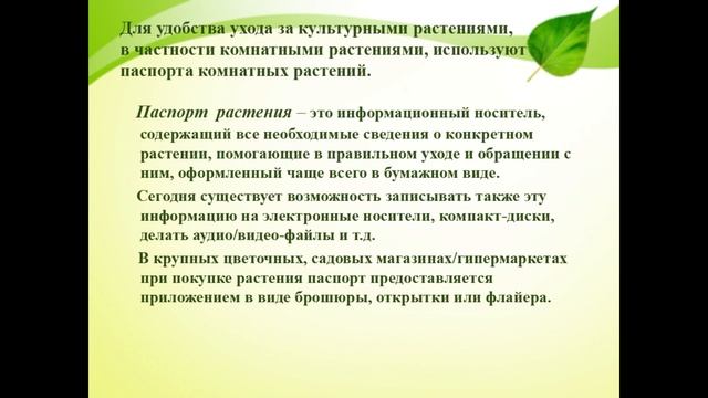 Основные направления растениеводства  Цветоводство