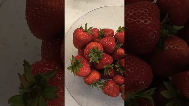 Клубника на Урале. Первые сборы. смотреть онлайн