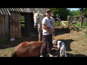 Как Живётся В Деревне. Стрим