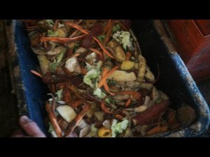 Бесплатные корма для птиц и другой живности - это реально