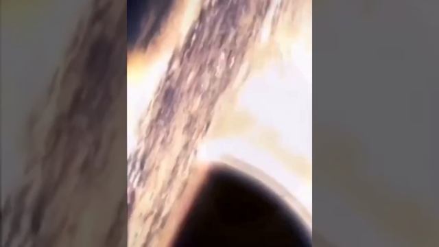 Немного о чёрных дырах смотреть онлайн