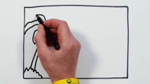 Рисуем и раскашиваем зебру и картину "пляж"! \\ Рисование для девочек! Давайте рисовать  вместе!