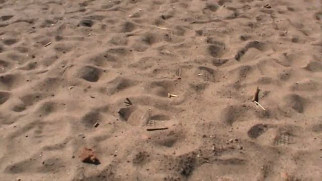 Парк 300-летия, Санкт-Петербург. 18 апреля 2021 смотреть онлайн