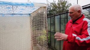 Гомельские чубатые черногривые гривуны.Голуби Беларуси.