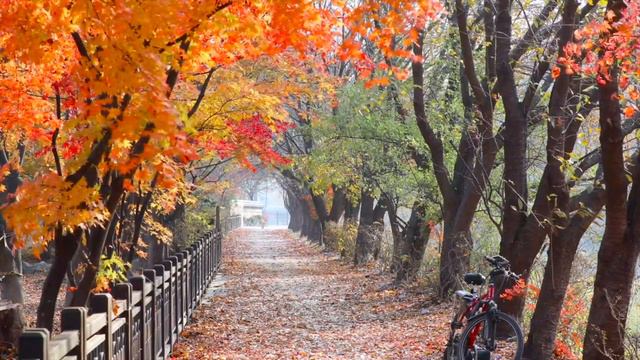 Что значит Чувство дома?Путь домой. смотреть онлайн