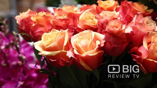 Best Buds Florist Shop in Chippendale NSW offering Floral Design and Bouquet смотреть онлайн