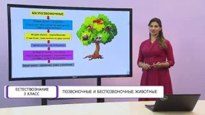 Естествознание. 3 класс. Позвоночные и беспозвоночные животные /12.10.2020/