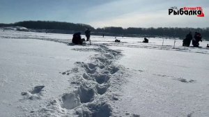 Весенняя рыбалка со льда на карьере Ветчак.Ловля на мормышку плотву и густеру.