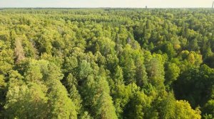 Свято-Троицкий Серафимо-Дивеевский женский монастырь и Источник преподобного Серафима в п.Цыгановка