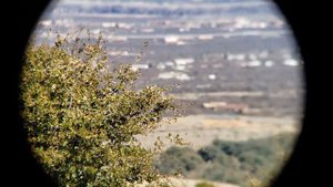 Celestron SkyMaster Pro 20x80 Binoculars review