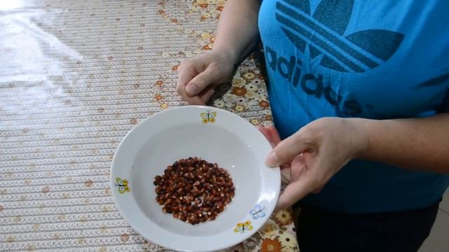 ПОПКОРН ИЗ КУКУРУЗЫ смотреть онлайн