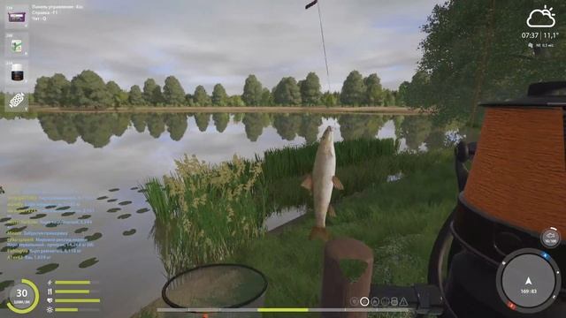 РР4 Фарм на Оз Янтарное Без ПВА Закрываем Трофеи Рабочие точки Русская Рыбалка 4 смотреть онлайн