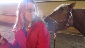 Лошадь - массажист? | Barcelona - equestrian Лошадь лижет