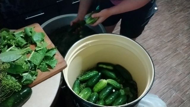 Огурцы соленые бочковые.Рецепт. смотреть онлайн