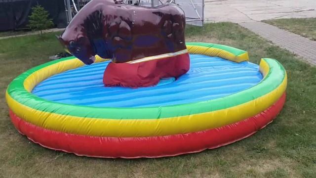 Дикий бык/бык Родео смотреть онлайн