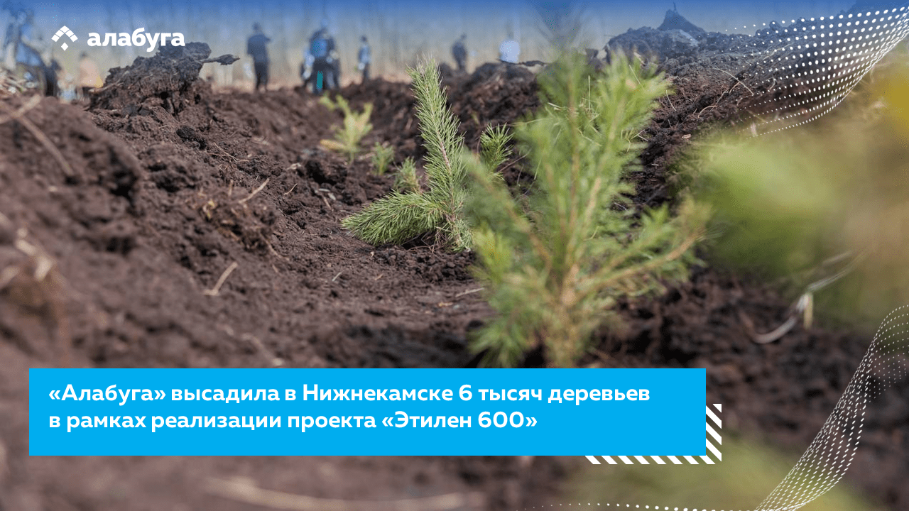 «Алабуга» высадила в Нижнекамске 6 тысяч деревьев в рамках реализации проекта «Этилен 600»