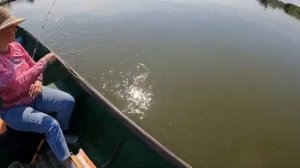 2023 год, с. Вышка, Астраханская область / рыбалка на судака и сазана, день 1.