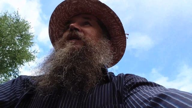 Икона Казанская покровительница Приюта ангелов смотреть онлайн