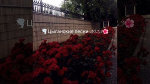 🌺цыганские песни 2023🌪️