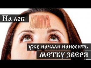 На лоб уже  начали наносить метку зверя