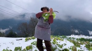 湖南山区第二场大雪，妈妈扯白菜包饺子，冬宝和媳妇去滑雪，真爽