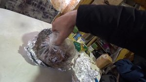 ЧЕРНЫЙ ЧЕСНОК   СДЕЛАЙ САМ !