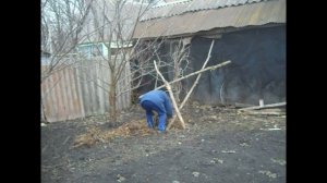 Дела деревенские. Наш сад и огород