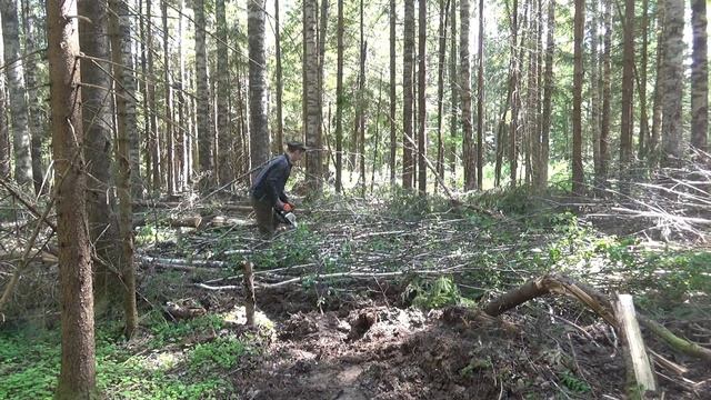 Лесной МОНСТР пришел на помощь Уралу Лесовозу. Замена звездочки на  ТЛТ-100. Трелевка леса......