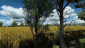 ULTRA REALISTIC ETS2 1.43 JBX Graphics 2 - Weather and Graphics Mods + RESHADE