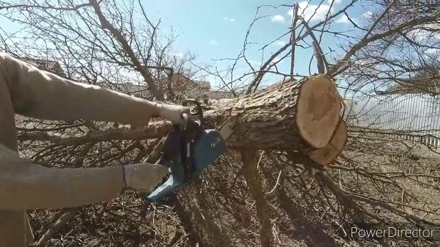 Бензопила Makita EA3202S40B. Год после покупки. Обзор бензопилы в работе.