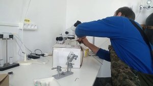 Станок инструментального осеменения пчелиных маток. Новое приобретение в лабораторию на 2020г.