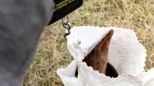 В поле в поисках монет и металла с металлоискателем TX-850 (Fisher Gold Bug). Поиск монет видео 202