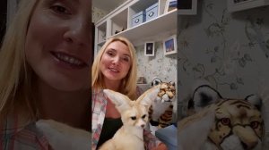 Прямой эфир Знакомство!