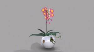 Falenopsis 3d model