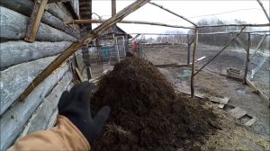 Куры // Самая тяжелая работа // Напольное содержание кур