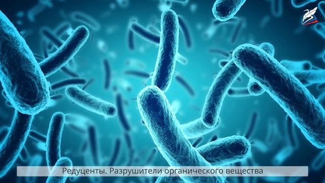 Сообщества и экосистемы