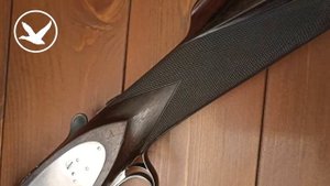Охотничье ружьё и английская ложа