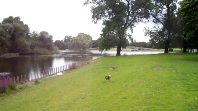 England, The park in Kingston Upon Hull part. 2 смотреть онлайн