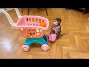 Люся собралась НА ШОПИНГ, сумочка и тележка готовы!