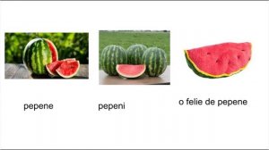 Уроки румынского языка по скайпу. Румынский язык. Румынские слова. Овощи