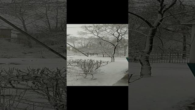 Снегопад Белогорск 11.04.23 (Амурская область) смотреть онлайн
