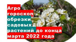 Агрогороскоп обрезки садовых растений, винограда до конца марта - начала апреля 2022 года