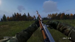 Dayz SK59/66 (SKS) 100 Shots rifle test