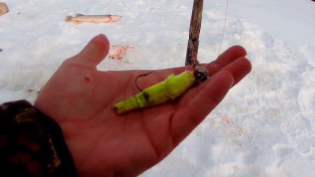 Одна щука на две жерлицы! смотреть онлайн